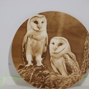 Twin Barn Owls.  Custom laser Engraving